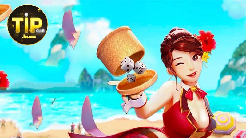 Hướng dẫn người mới tham gia tại Tipclub